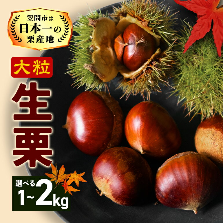 【ふるさと納税】【2025年 秋 出荷】生栗 栗 選べる 1kg 2kg 特大 3L 以上 数量限定 国産 和栗 くり スイーツ 果物 フルーツ 栗きんとん モンブラン 栗ご飯 秋 旬 カサマロン 生産量 日本一 笠間 かさま ギフト プレゼント いばらき