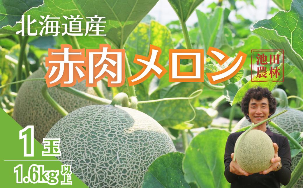 【先行予約】北海道栗山町産 幻のメロン 1玉（池田農林）