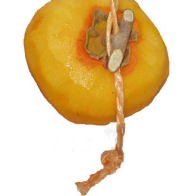 ふるさと納税 紀美野町 吊るし柿用 生渋柿 ひもセット【T字軸枝付または吊るしクリップ付】 約20〜30果、4.5〜5kg |  | 02