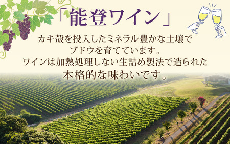 甘口と辛口の飲み比べ！ 能登ワイン白２本セット