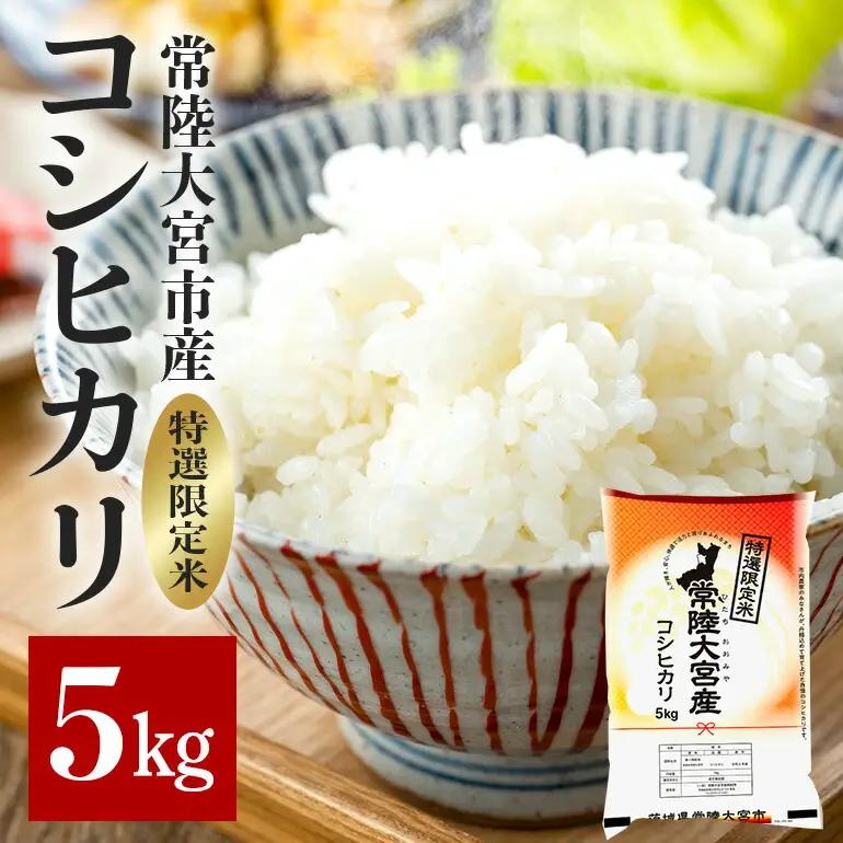 コシヒカリ 常陸大宮産 5kg こしひかり ブランド米 茨城 【コシヒカリ】【ho1396】