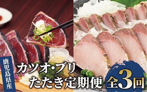 【全３回定期便】カツオとブリのたたき定期便(指宿食品/Z041-307)