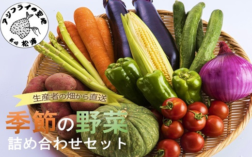 
            季節の野菜詰め合わせ( 季節 野菜 旬 安心 新玉ねぎ トマト じゃがいも 白菜 キャベツ きゅうり )【A9-009】
          