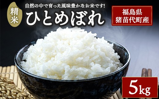 令和7年度産 ひとめぼれ 精米 5kg   | 米 こめ 白米 精米 ごはん お米 5キロ 国産米 ブランド米 福島県産 農家直送 産地直送 さくらファーム おにぎり 弁当 家庭用 精米済み 猪苗代町