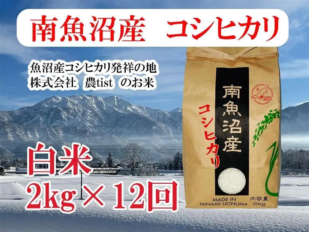 【令和8年 新米】【定期便 南魚沼産】コシヒカリ 白米2kg×12回｜コシヒカリ
