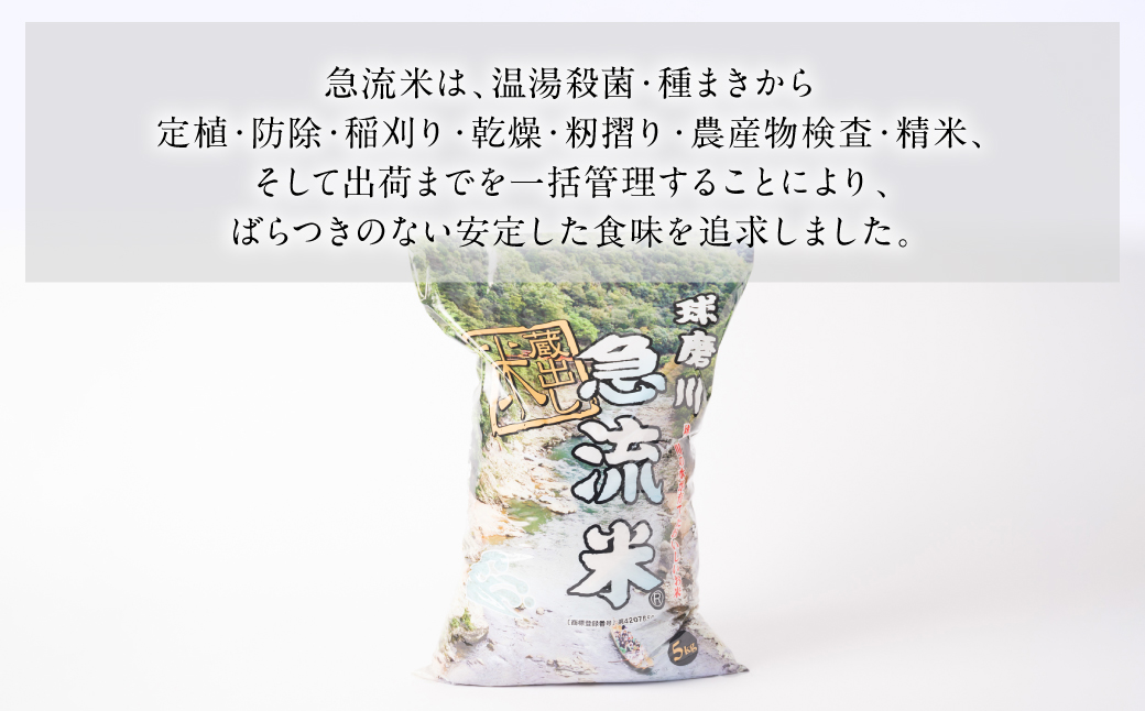 《令和7年産》熊本県八代市産 球磨川急流米 ヒノヒカリ 5kg 国産 白米 精米 お米 コメ 米 ライス ご飯 ごはん 白飯