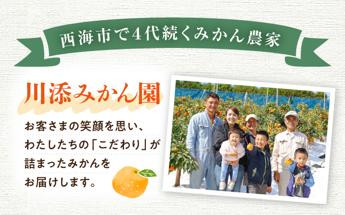 【12月上旬より配送開始☆優品】石地みかん 約8kg（傷み保証分300g含む）＜川添みかん園＞ [CCT006] みかん