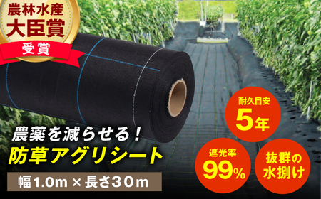 防草アグリシート（BB1515・耐久目安5年・幅1.0m×長さ30m）/ 防草シート 除草[AFCA007]