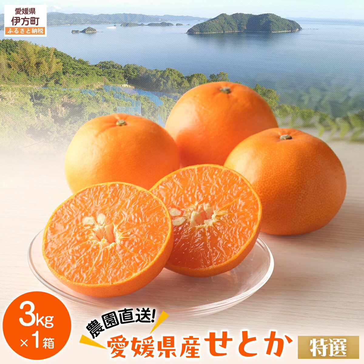 【ふるさと納税】【先行予約】【数量限定】【特選】＼農園直送／愛媛県産せとか 約3kg ※離島への配送不可（2026年2月下旬より順次発送） 【ふるさと納税 人気 おすすめ ランキング 柑橘 みかん ミカン 蜜柑 せとか 果物 フルーツ 柑橘の大トロ 農園直送 産地直 】 IKTV010