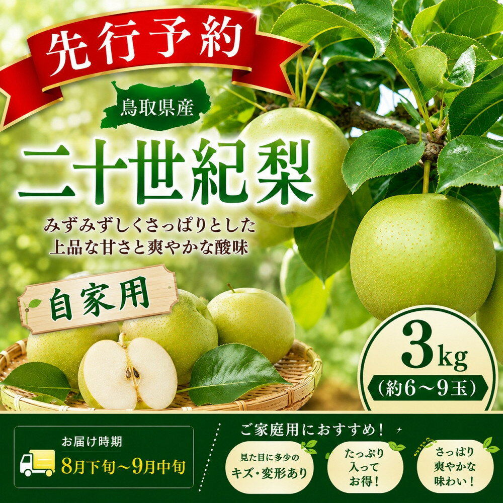 【ふるさと納税】三ツ田農園 二十世紀梨(青秀)3kg【8月下旬以降お届け】