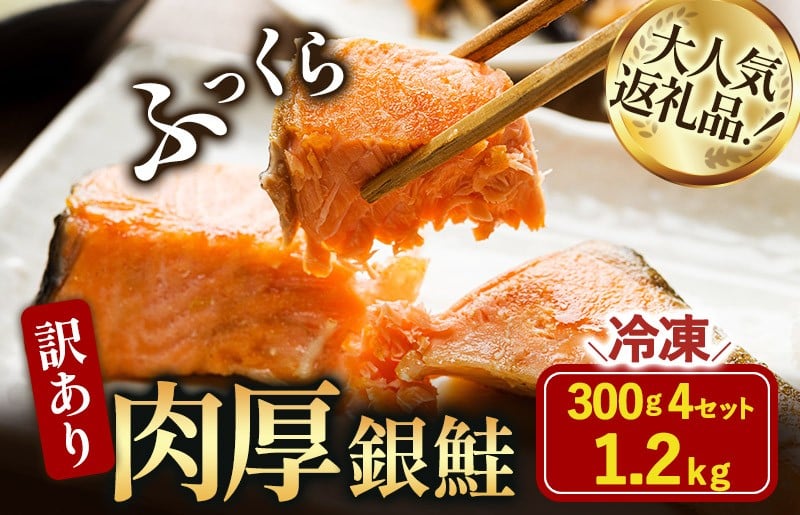 
            訳あり塩銀鮭切り身 1.2kg（300g×4袋）【V003250】
          