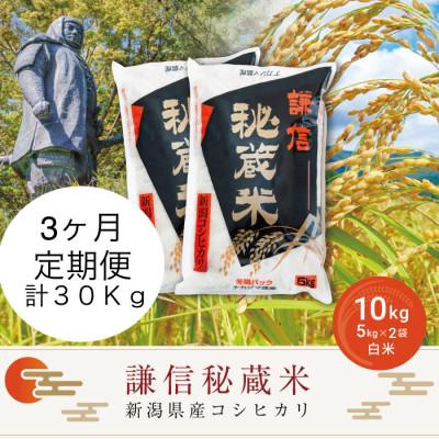ふるさと納税 上越市 【毎月定期便】謙信秘蔵米10kg全3回