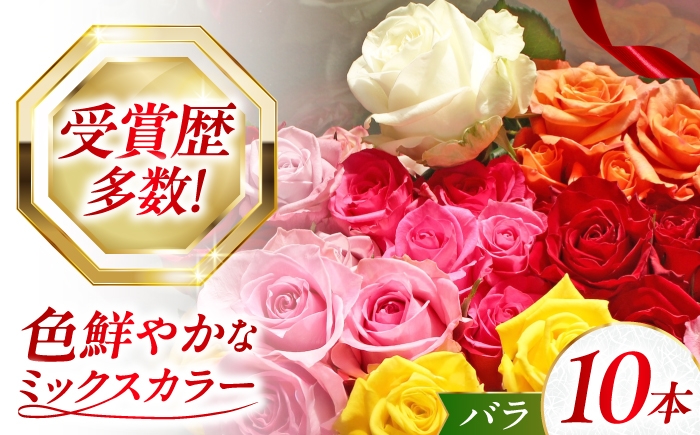 
                  バラ 10本セット 広島県江田島市／タナカローズガーデン[XDC001]｜バラ ばら ろーず rose 花束 ブーケ 薔薇 ローズ 生花 フラワー 花 産地直送 贈り物
                