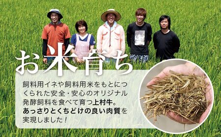 宮崎県産　上村牛赤身焼肉800g　国産牛肉　カミチク＜1.4-4＞