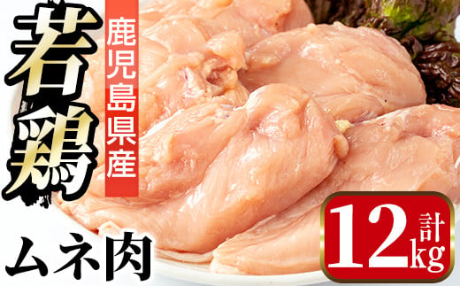 
i448 若鶏ムネ肉(計12kg・2kg×6袋)鹿児島県産の鶏肉をお届け【まつぼっくり】
