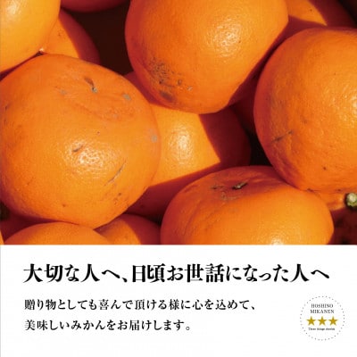 【訳あり】星乃せとか 柑橘の大トロ(3kg)【C45−87】【1535970】