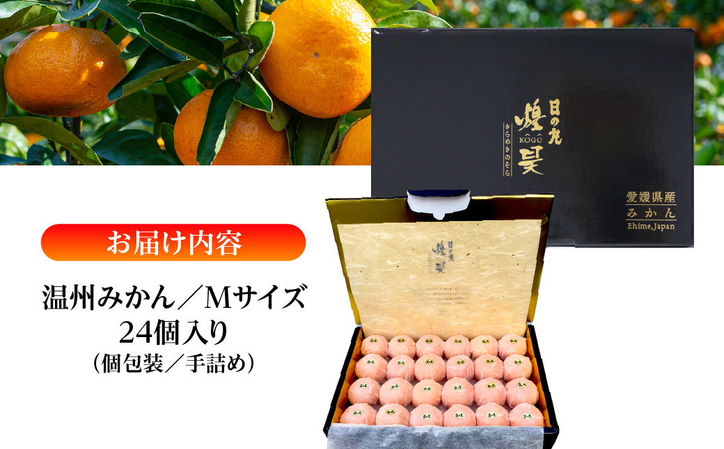 【先行受付】日の丸みかん「煌昊(こうごう)」24個入/個包装/手詰め/高糖度/光センサー使用【G79-1】【1451576】 YWTC001