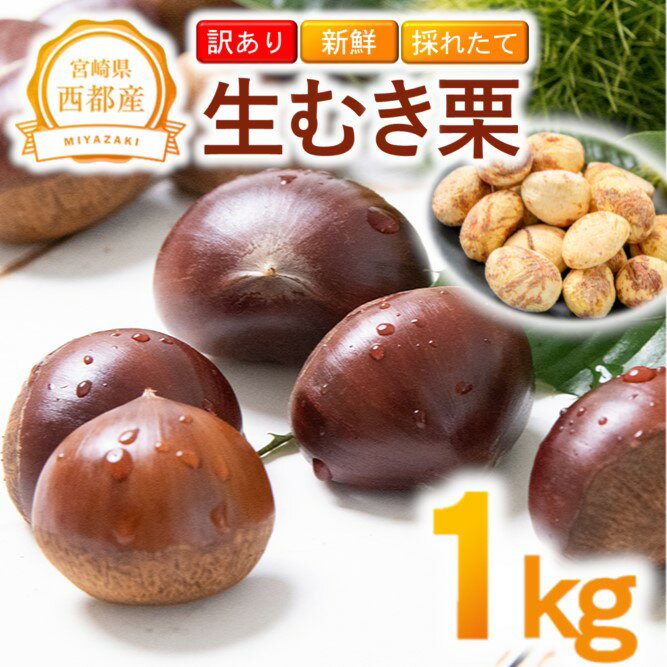 【ふるさと納税】＜訳あり＞新鮮朝採れ「むき栗」1kg 国産 宮崎県 西都市 くり＜1.1-20＞