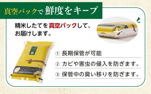 ZIP!で紹介！ 令和8年産 新米 ななつぼし 無洗米 真空パック 5kg×4個×5口（合計100kg）(2026年10月発送開始)_06546