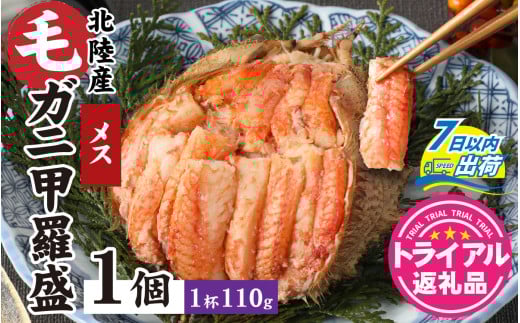 【トライアル返礼品】蟹好き集まれ！北陸産メス毛ガニ 甲羅盛【メス甲羅盛110ｇ前後】【訳あり】 [A-096004] /  カニ 蟹 かに ケガニ 毛蟹 毛がに 雌  ゆで 茹で 茹でがに ボイル 甲羅盛 甲羅盛り かに酢 手軽 国産 冷凍 甲羅蟹 甲羅がに ワケアリ 訳アリ