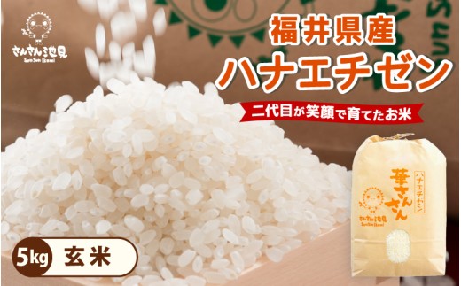 先行予約【令和8年産・新米】 ハナエチゼン 5kg 【2026年8月20日より順次発送】 華越前 ～坂井市三国町産・こだわりの精米対応～（玄米） [A-0270_04]