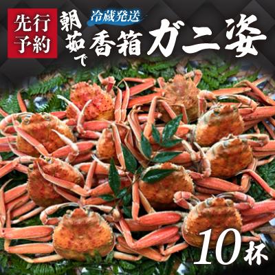 ふるさと納税 加賀市 【冷蔵発送】朝茹で香箱ガニ(ズワイガニのメス)姿10杯セット　2025年11月上旬以降発送