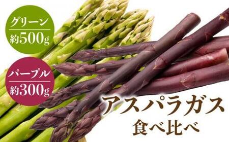 グリーン(約500g)・パープル(約300g)アスパラガス食べ比べセット【2025-3月上旬～2025-9月下旬配送】