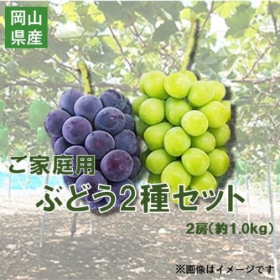 【2026年10月上旬～順次発送】訳ありシャインマスカットとピオーネ詰合せ 2房 1kg ご家庭用【配送不可地域：離島・北海道・沖縄県】