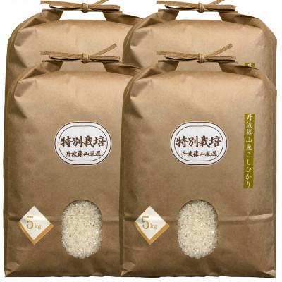 ふるさと納税 丹波篠山市 丹波篠山産特別栽培米コシヒカリ5kg×4