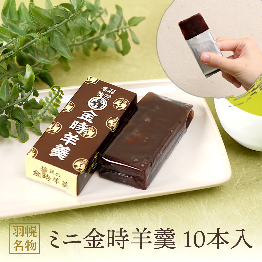 羽幌名物 ミニ金時羊羹10本入【1111101】