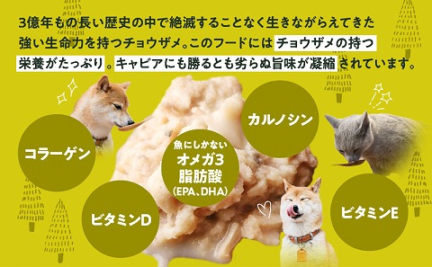 宮崎 -森のチョウザメ-sustainable PET FOOD _M133-006