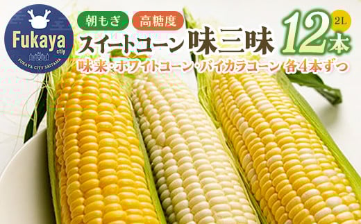 
＜先行予約＞フルーツみたいな朝もぎスイートコーン 味三昧セット　【11218-0330】

