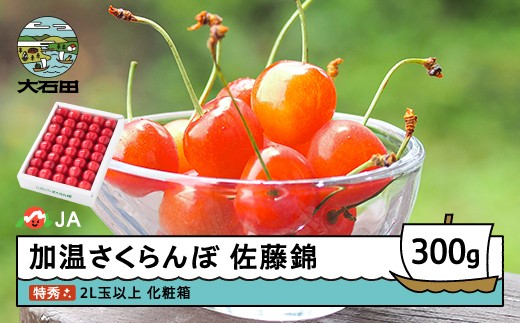 
                  【先行予約】 加温 さくらんぼ 佐藤錦 特秀 2L玉 化粧箱 300g 2027年産 令和9年産  ja-snk2x300
                