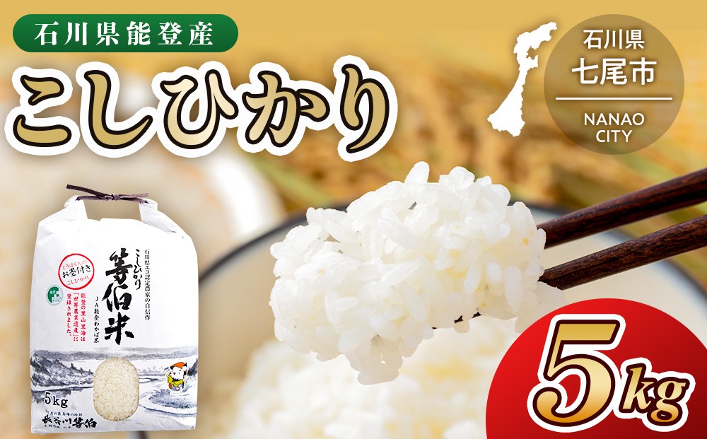 
                  【令和7年産】等伯米コシヒカリ 5kg×1袋 ｜ 世界農業遺産に認定された『能登の里山里海』で育まれたお米 石川県 七尾市 能登 ※2026年6月～発送
                