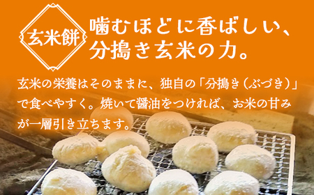 無添加 よもぎ大福と玄米もちのセット（各2パック） | 2種セット よもぎ大福 ＆ 玄米餅