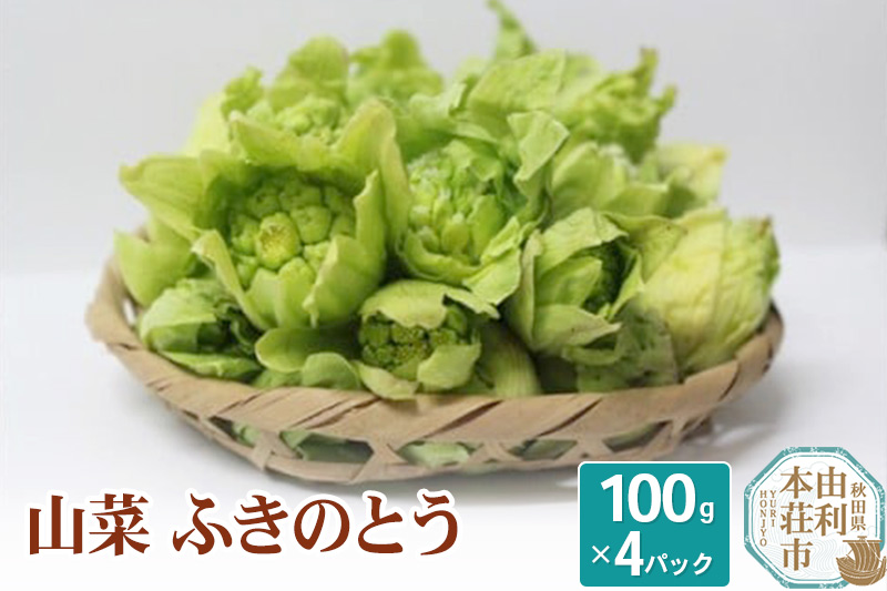 山菜 ふきのとう 100g×4パック 天然 （発送は3月〜4月頃）