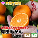 【ふるさと納税】 おっきい 有田みかん 7kg 10000円 久幸園 ※12月上旬より順次発送予定 / みかん 温州みかん 家庭用 フルーツ 果物 くだもの 果実 柑橘 濃厚 甘い 甘味 ジューシー 果汁 和歌山 有田 広川 秋 冬 旬 おすすめ オススメ 本場 ホンマモン //mandarin