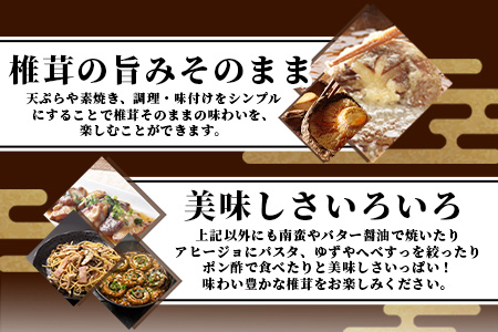 【訳あり】【徳用】秘境・椎葉村産 原木 乾しいたけ 900g（300g×3袋）【森林率96％の村の宝】宮崎県産 国産 原木椎茸 訳あり 椎茸 しいたけ 乾しいたけ 干し椎茸 産地直送 きのこ 煮物 出