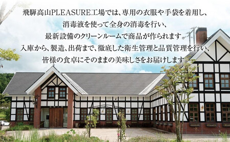 【定期便】全12回 飛騨牛 切り落とし | 訳あり 肉 お肉 切り落とし 薄切り すき焼き すきやき 黒毛和牛 和牛 牛肉  飛騨高山ミート MZ112