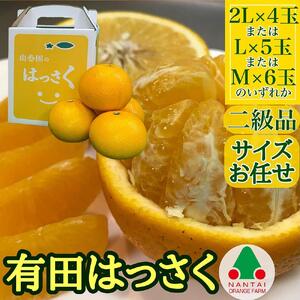【ふるなびWEEK対象】ちょっと 傷あり 手さげ箱 有田 はっさく 2L ~ M 4~6玉入 南泰園 FN-Limited-PR