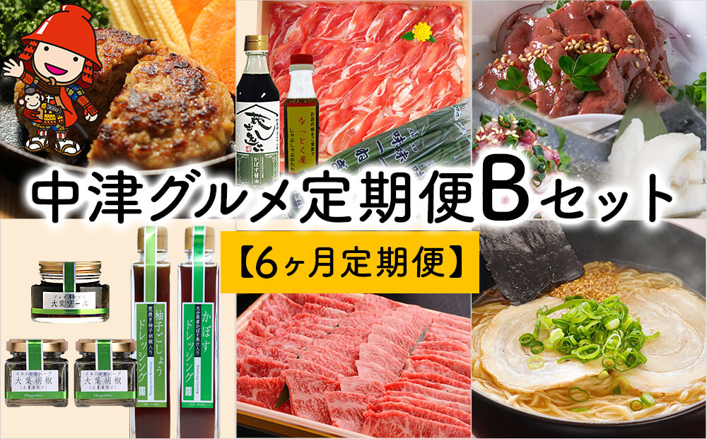 
【6ヶ月定期便】中津グルメ定期便Bセット しあわせハンバーグ、錦雲豚 味一ねぎ しゃぶしゃぶセット、さしみーとセット、調味料セット、おおいた和牛 3種盛、豚骨醤油 生ラーメン
