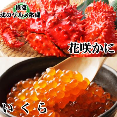 ふるさと納税 根室市 花咲かに300g前後〜450g前後×3尾・いくら醤油漬け100g×1P B-76032