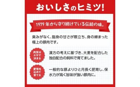 尾鈴豚おすすめセット【肉 豚肉 国産 九州産 宮崎県産 豚しゃぶ カツ 焼肉 バーベキュー バラエティ セット】