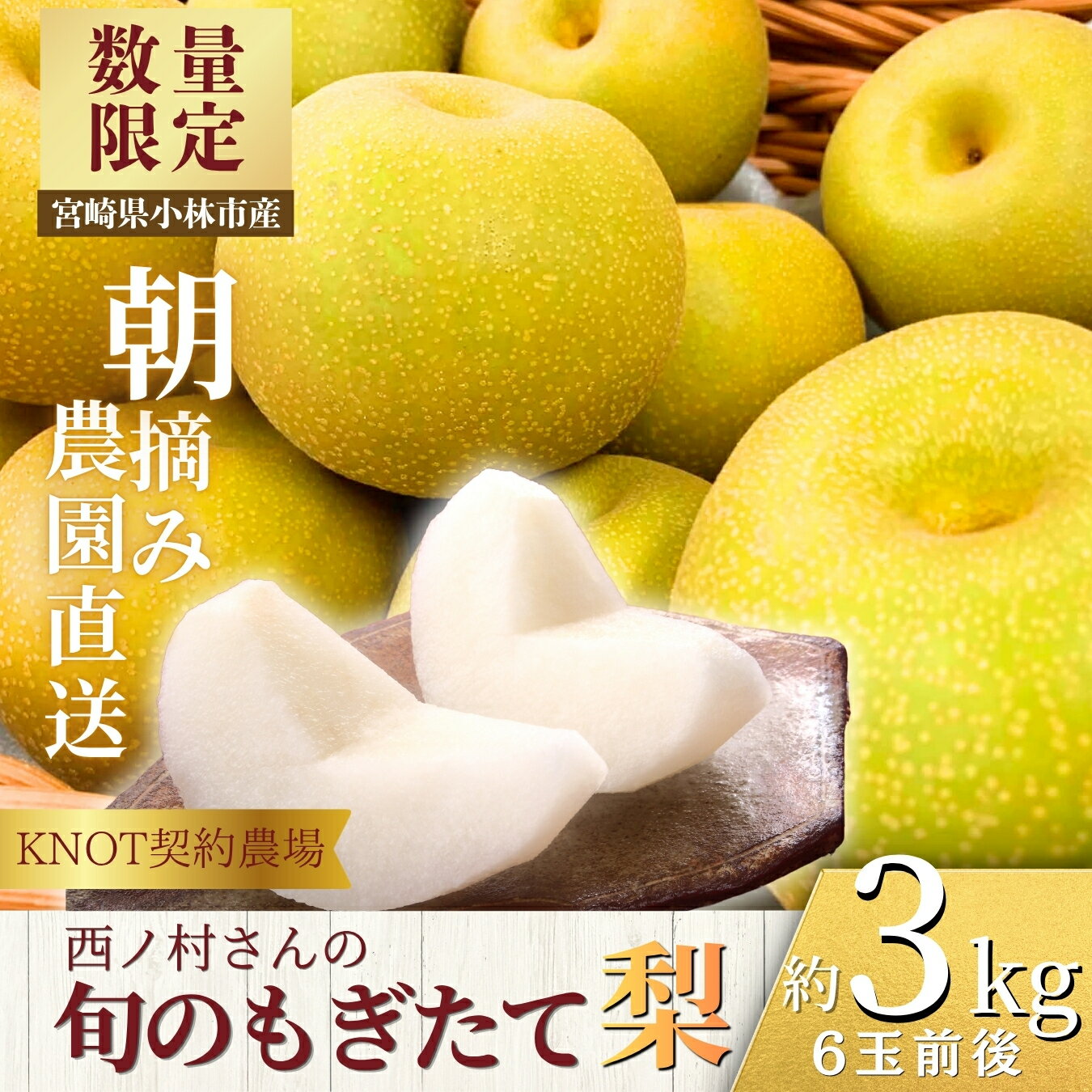 【ふるさと納税】旬のもぎたて梨3kg（フルーツ 梨 贈答用 産地直送 契約農場 おすすめ ふるさと 宮崎)