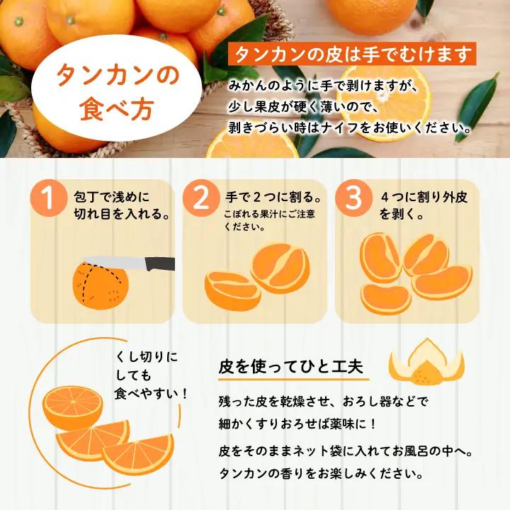《 先行予約 》種子島産 タンカン (ご家庭用) 約5kg (24玉～36玉)【2027年2月中旬～3月中旬頃順次発送】【訳あり】【南種子町果樹部会】