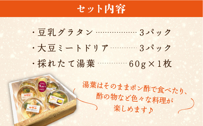 【お中元対象】【湯葉を贅沢使用！】湯葉三昧セット（豆乳グラタン＋大豆ミートドリア＋湯葉60g1枚） 糸島市 / とうふ家 酒瀬川 [AZJ002] ゆば とうふ