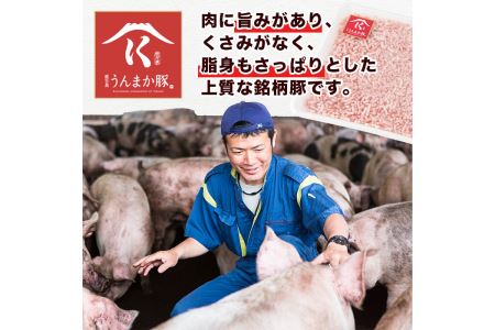 s117 《毎月数量限定》鹿児島うんまか豚ミンチ(計3kg・500g×6P) 鹿児島県産豚肉！パラパラの豚ひき肉を便利な小分けパックでお届けします【肉の寺師】