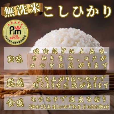 ふるさと納税 佐賀県 令和7年産こしひかり 無洗米10kg(5kg×2袋)　41ANAD044(佐賀県) |  | 01