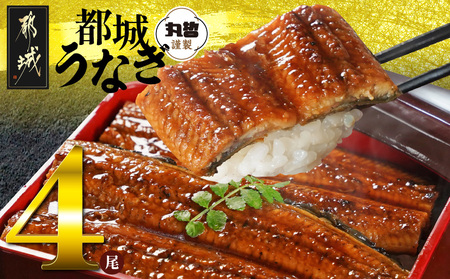 宮崎県育ちのうなぎ蒲焼4尾760g以上≪山椒・たれ付≫_AD-M301_(都城市) うなぎ蒲焼(有頭) 宮崎県産 真空 山椒・たれ付