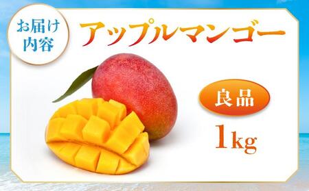 <先行予約・数量限定>アップルマンゴー 良品(1kg)|マンゴー 限定 良品 沖縄県 南城市 1kg 冷蔵 予約 先行受付 アップルマンゴー 送料無料 KM003